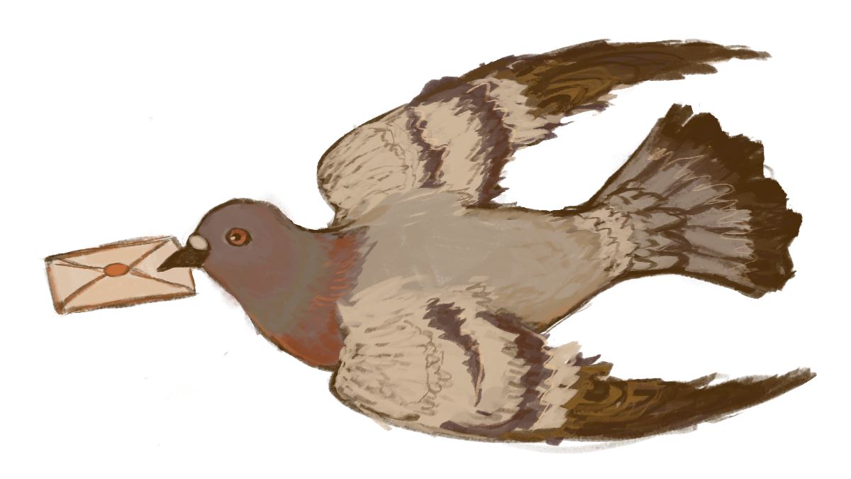 guestbook birdie